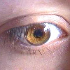 Mastered arithmetic perfection