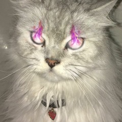 zoey