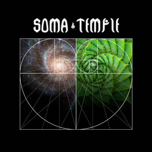 Soma temple’s avatar