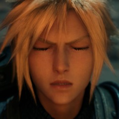 cerified danil 100%