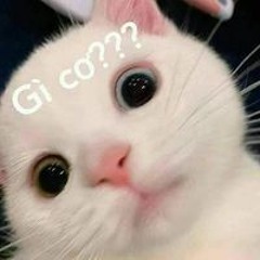 Trịnh Công Tuấn
