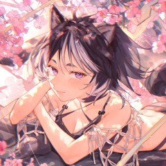 hinode°