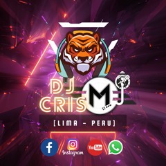 Dj Cris - M