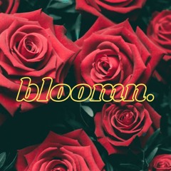 bloomn.