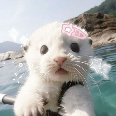 Miyaaa