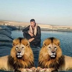 محسن الفرجانى