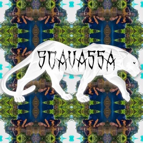 S C A V A S S A’s avatar