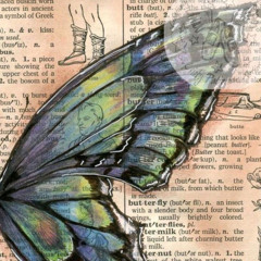 me🦋🐞