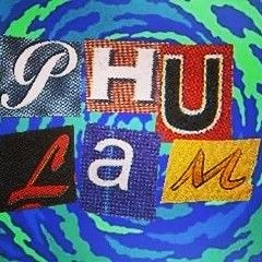 Nguyễn Trịnh Phú Lâm