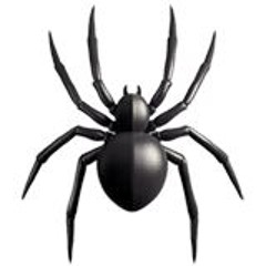 spider.com
