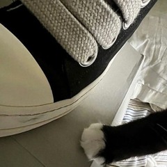 iiiiiiiiiiiiiiiilosa
