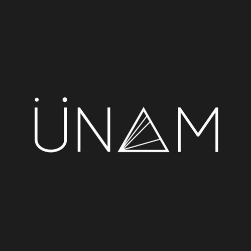 ÜNAM’s avatar