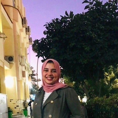 Alaa Reda’s avatar