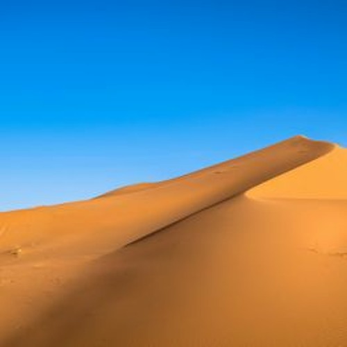 Dune choppa deals