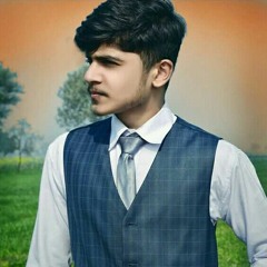 Faizi sial