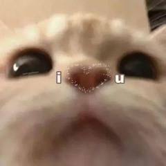 йо-йо!!