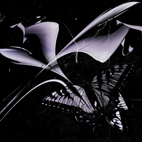 Silver Moth’s avatar
