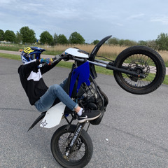 Leviiin