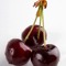 Brendon Cherry