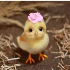 اسسڴند رانيه