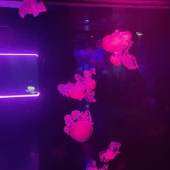 #💘
