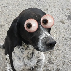 pewpewpewpewpewpewpewpew