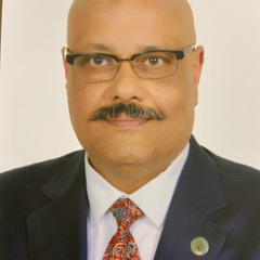 حسين البيه
