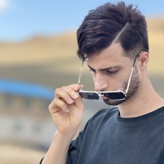 Erfan Esmaeely