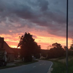 tiano_311