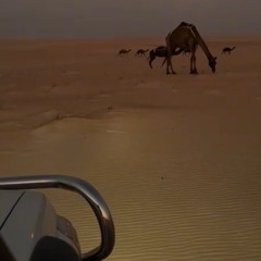 مّ