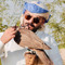 ali farhani