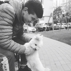 Miron Grin - Душа моя