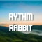 Rythm Rabbit