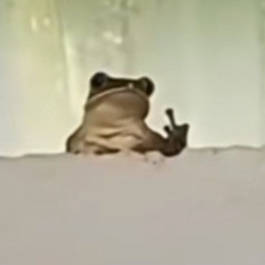 BigBoyBrad
