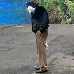 mauï