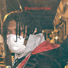 BDBISH