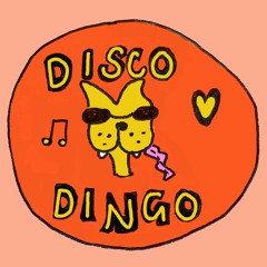 Disco Dingo