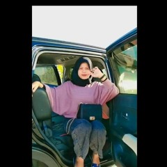 dian_dv