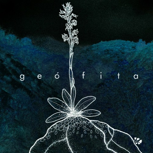 geófita’s avatar