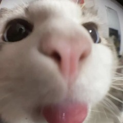 soram