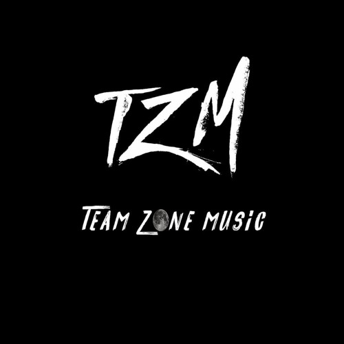 TEAM ZONE MUSIC’s avatar