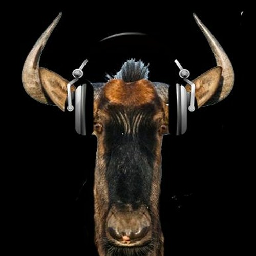 Wildebeets’s avatar