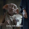 Dobby is free