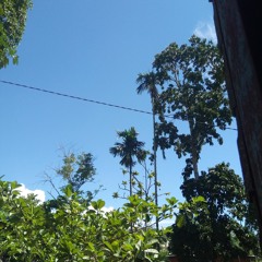 User 224730602