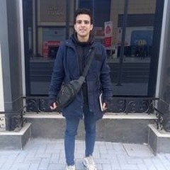 Hussein M Alnashar