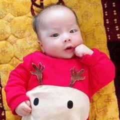 Nguyễn Anh Phúc