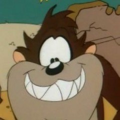 The Taz