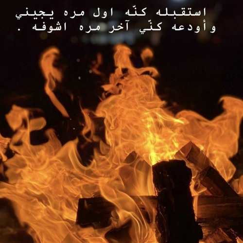 طه سليمان - سلافة الفن