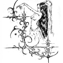 VETCHXVII