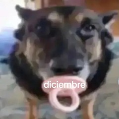 Ángel Jared Vera Mite